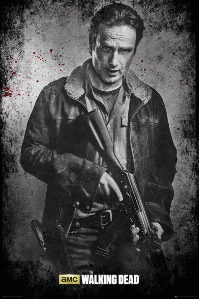 The Walking Dead TV Show Art Silk Poster 24x36 inch